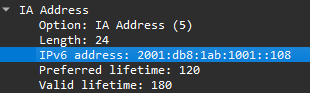 Wireshark IA Address option 5: IPv6 address 2001:db8:1ab:1001::108, preferred lifetime 120 seconds and valid lifetime 180 seconds.